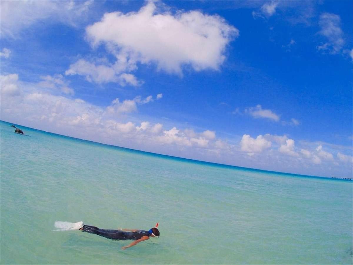 Locus Miyakojima (Okinawa)